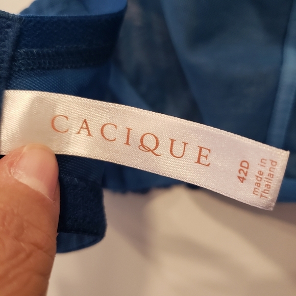 Cacique Deep Teal Blue Unlined Full Coverage Underwire Bra - Sz 42D US - Picture 3 of 6